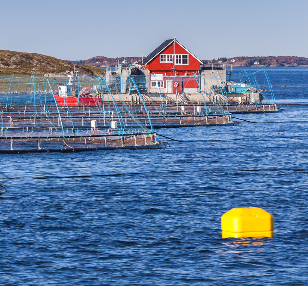 Norwegian fish farm for salmon growing in natural environment.