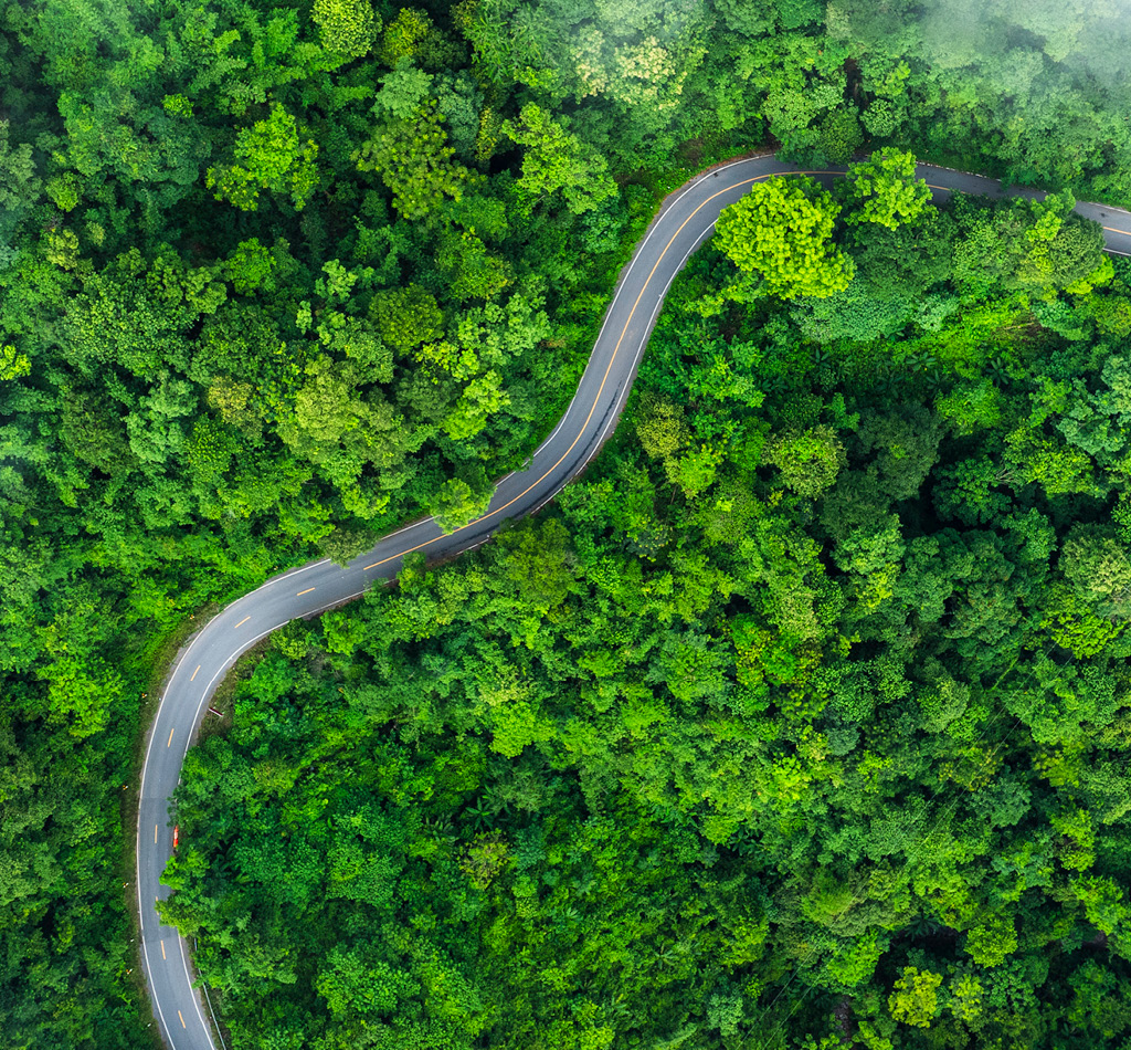 Aerial view of a curved and winding road in the middle of a lush green forest.